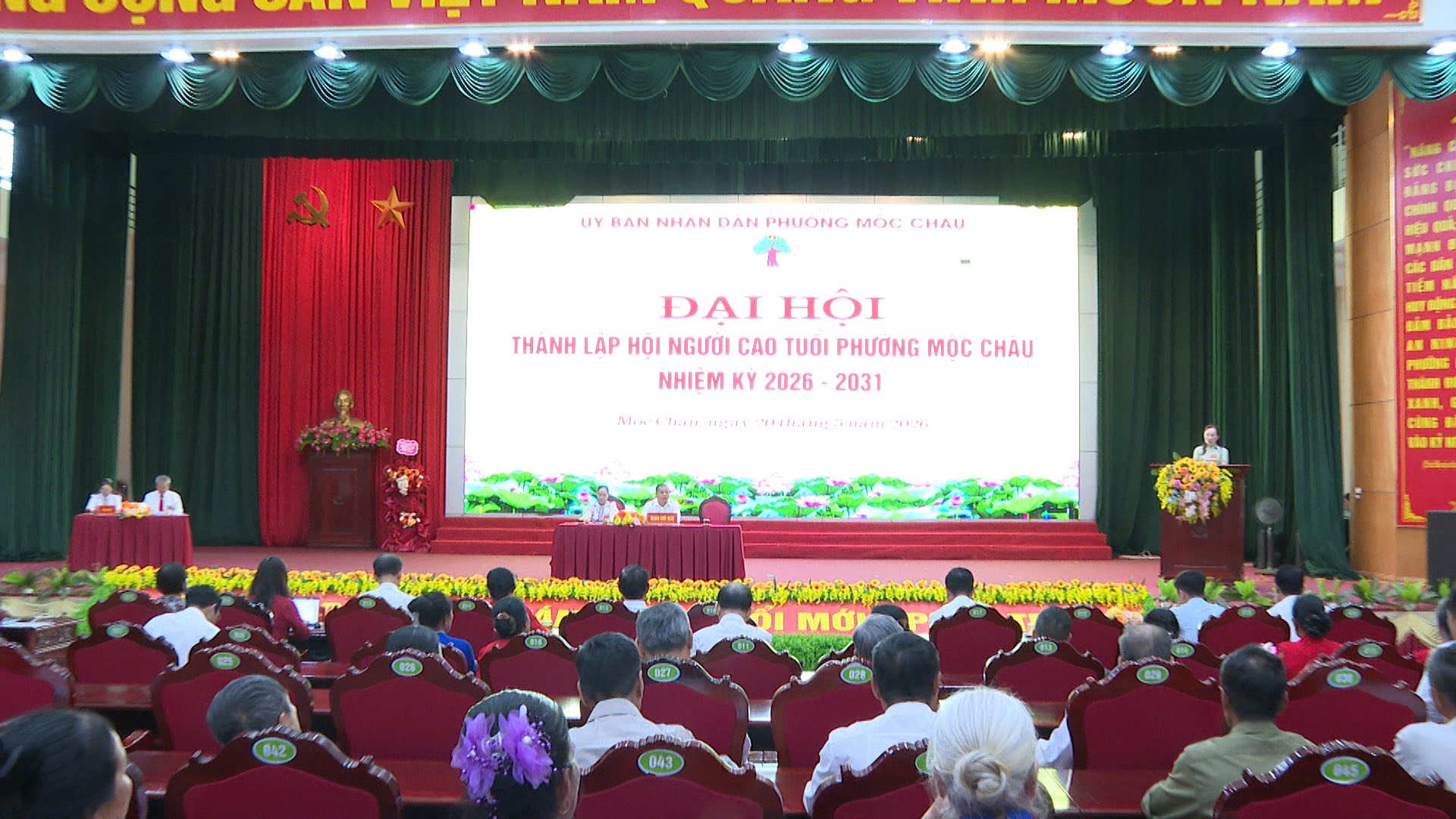 anh tin bai